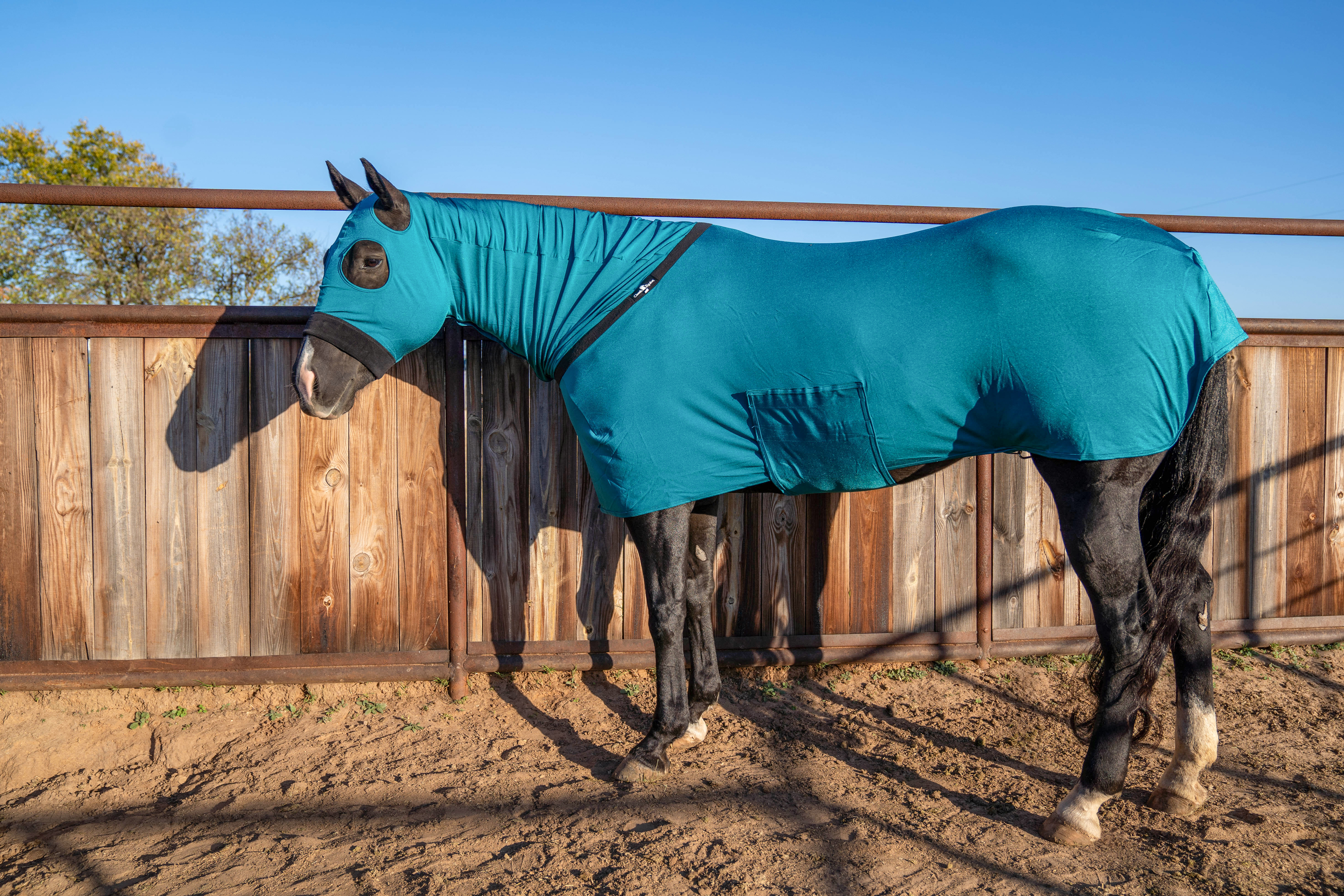 Full-body horse slinky made of 4-way stretch spandex,
              designed for sleek show prep coat protection